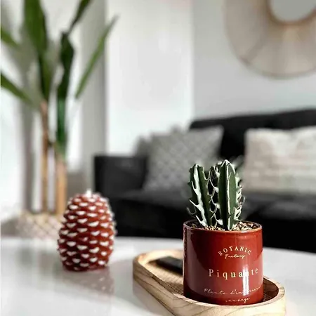 Le Cosy, 5 Minutes Du Zenith De D'auvergne Appartement *